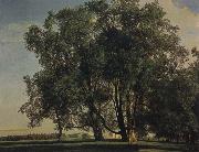 Prater Landscape Ferdinand Georg Waldmuller